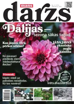 MANS DĀRZS — Nr. 02