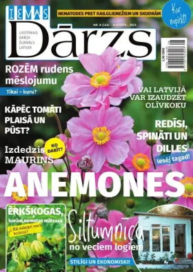 IEVAS DĀRZS — Nr. 08