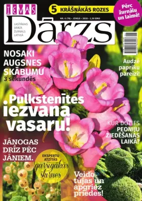 IEVAS DĀRZS — Nr. 06