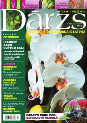 IEVAS DĀRZS — Nr. 12