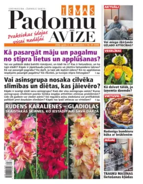 IEVAS PADOMU AVĪZE — Nr. 35