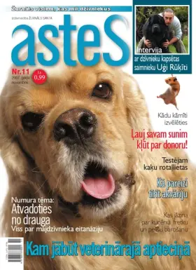 ASTES 2007.11 — Nr. 11