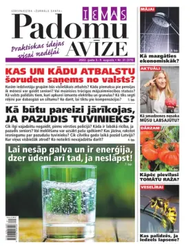 IEVAS PADOMU AVĪZE — Nr. 31