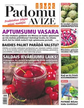 IEVAS PADOMU AVĪZE — Nr. 28