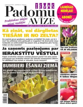 IEVAS PADOMU AVĪZE — Nr. 42
