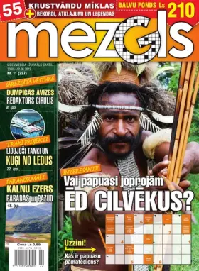 MEZGLS — Nr. 11