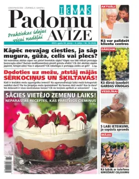 IEVAS PADOMU AVĪZE — Nr. 26