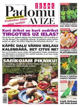 IEVAS PADOMU AVĪZE — Nr. 17/18