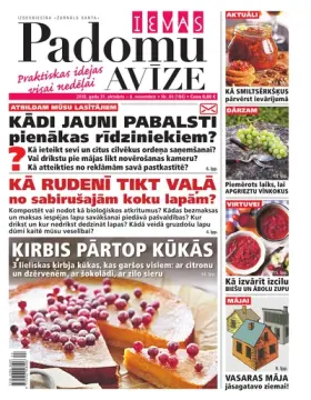 IEVAS PADOMU AVĪZE — Nr. 44