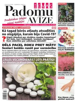 IEVAS PADOMU AVĪZE — Nr. 47