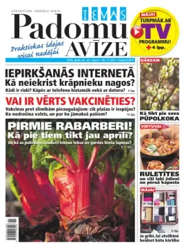 IEVAS PADOMU AVĪZE — Nr. 11