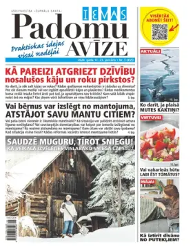 IEVAS PADOMU AVĪZE — Nr. 03