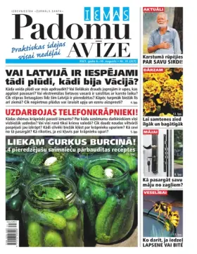 IEVAS PADOMU AVĪZE — Nr. 31