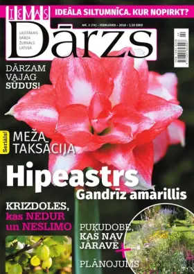 IEVAS DĀRZS — Nr. 02