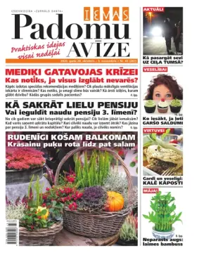 IEVAS PADOMU AVĪZE — Nr. 43
