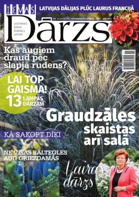 IEVAS DĀRZS — Nr. 11