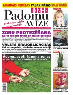 IEVAS PADOMU AVĪZE — Nr. 42