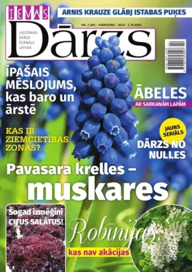 IEVAS DĀRZS — Nr. 02