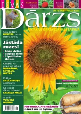 IEVAS DĀRZS — Nr. 09