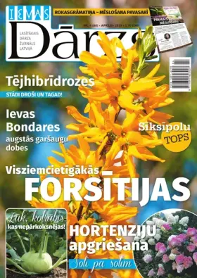 IEVAS DĀRZS — Nr. 04