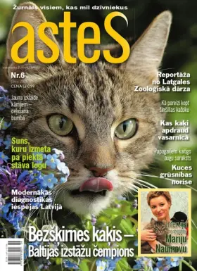 ASTES 2008.06 — Nr. 06
