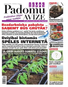 IEVAS PADOMU AVĪZE — Nr. 11