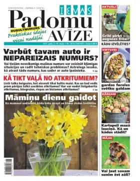 IEVAS PADOMU AVĪZE — Nr. 18/19