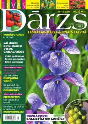 IEVAS DĀRZS — Nr. 01