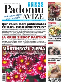 IEVAS PADOMU AVĪZE — Nr. 47