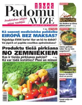 IEVAS PADOMU AVĪZE — Nr. 13