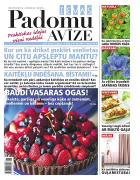 IEVAS PADOMU AVĪZE — Nr. 26
