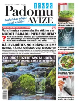 IEVAS PADOMU AVĪZE — Nr. 11