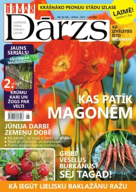 IEVAS DĀRZS — Nr. 06