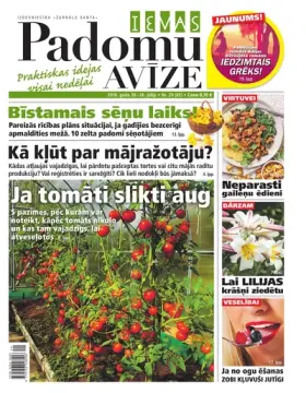 IEVAS PADOMU AVĪZE — Nr. 29