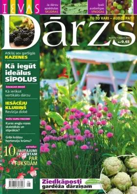 IEVAS DĀRZS — Nr. 6