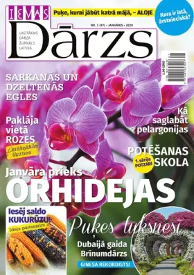 IEVAS DĀRZS — Nr. 01