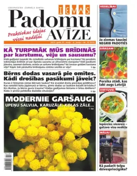 IEVAS PADOMU AVĪZE — Nr. 22