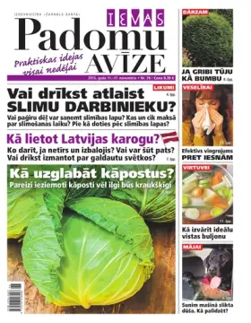 IEVAS PADOMU AVĪZE — Nr. 29