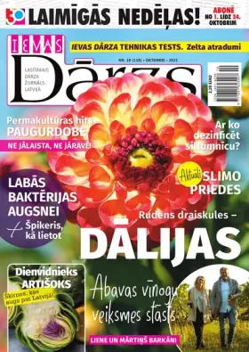 IEVAS DĀRZS — Nr. 10