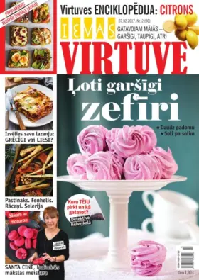 IEVAS VIRTUVE — Nr. 02