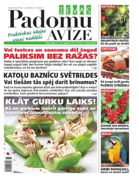 IEVAS PADOMU AVĪZE — Nr. 33