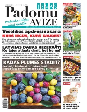IEVAS PADOMU AVĪZE — Nr. 37