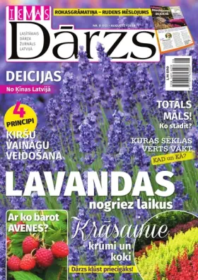IEVAS DĀRZS — Nr. 08