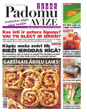 IEVAS PADOMU AVĪZE — Nr. 38