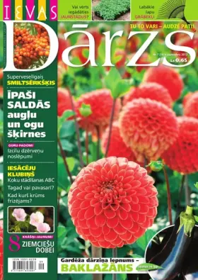 IEVAS DĀRZS — Nr. 7