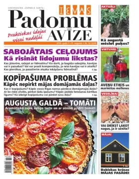 IEVAS PADOMU AVĪZE — Nr. 32