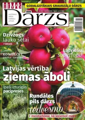 IEVAS DĀRZS — Nr. 11