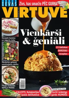 IEVAS VIRTUVE — Nr. 03