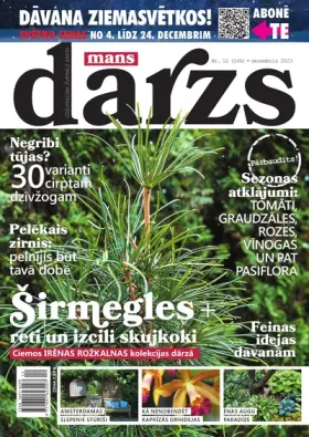 MANS DĀRZS — Nr. 12