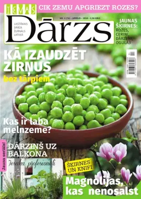 IEVAS DĀRZS — Nr. 04